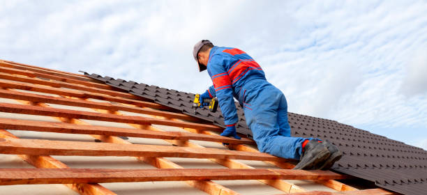 Best Roof Coating and Sealing  in Evanston, IL