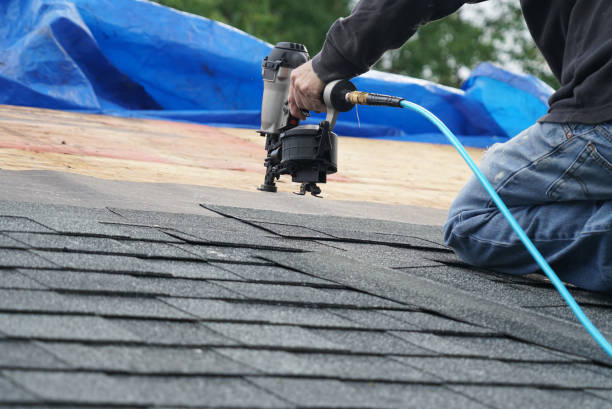 Best Green or Eco-Friendly Roofing Solutions  in Evanston, IL